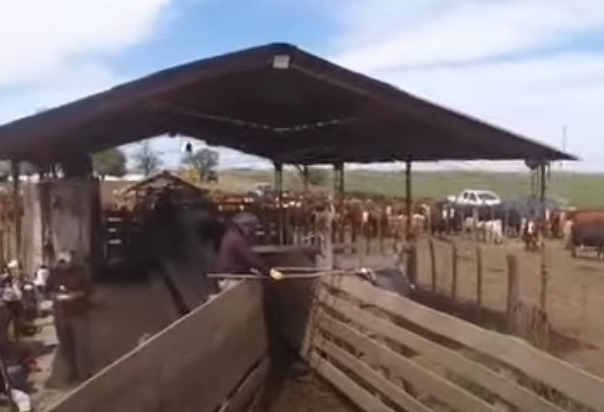 Video 2